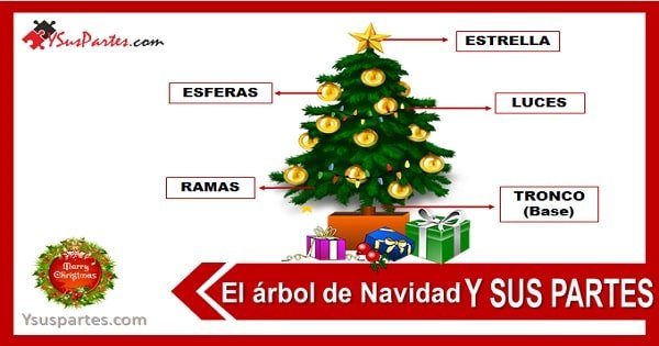 Partes principales del arbol de navidad